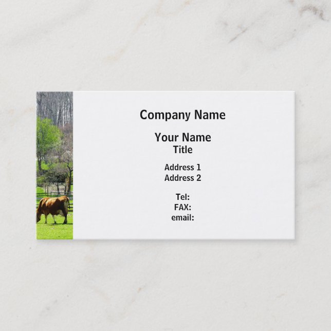 Cow Grazing in Pasture in Spring Business Card (Front)