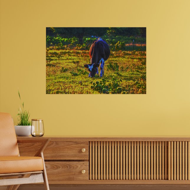 Cow Grazing in Texas Holstein Art Poster (Living Room 2)