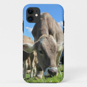 Cow Grazing iPhone 5 case