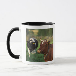 Cow grazing, Sweden. Mug