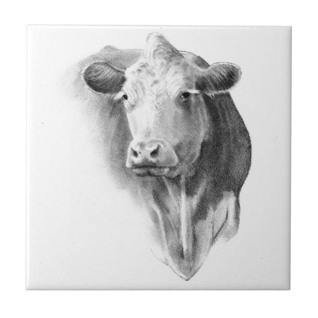Cow Head in Pencil: Realism Art: Farm, Country Ceramic Tile (Front)