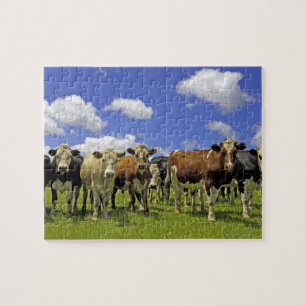Cow Herd New Zealand Jigsaw Puzzle