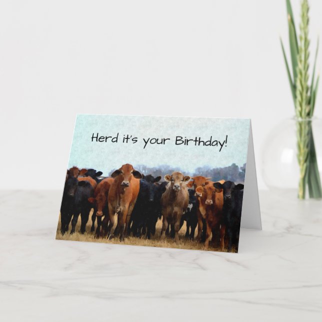 Cow Humour Birthday Card (Front)