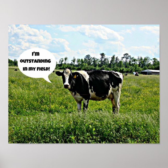 Cow Humour Poster (Front)