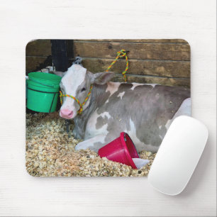 Cow In a Barn Pen with Buckets Mouse Pad