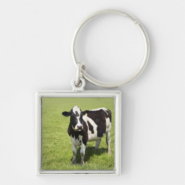Cow in meadow key ring (Front)