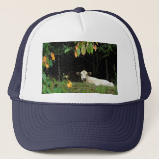 Cow in Pasture Trucker Hat