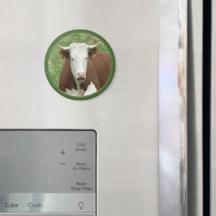 Cow in the Grass Cameo Magnet