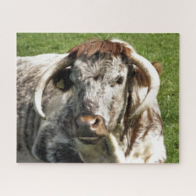 COW JIGSAW PUZZLE (Horizontal)
