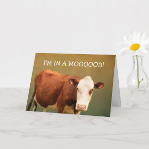 Cow Joke Happy Birthday Card