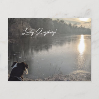cow lake in the morning with dog in Augsburg Postcard