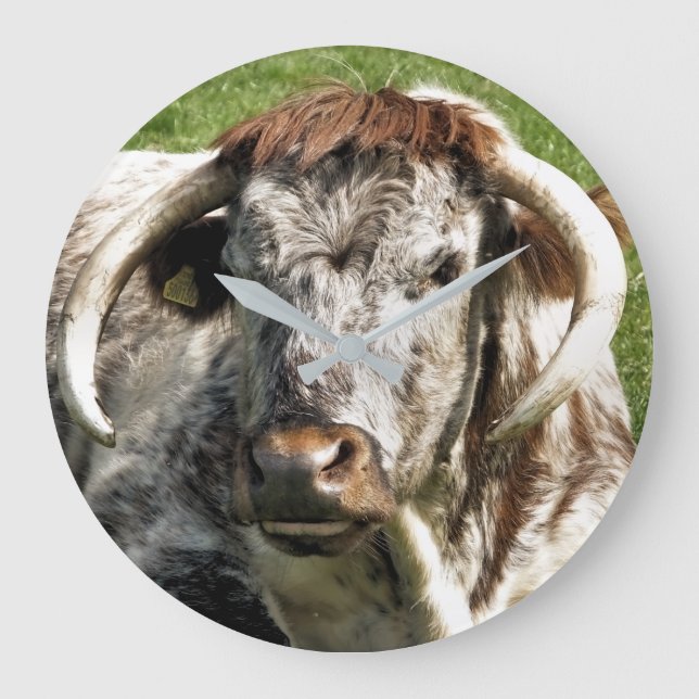 COW LARGE CLOCK (Front)