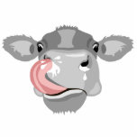 cow licking nose  photo sculpture key ring<br><div class="desc">Animals are important for many reasons,  but they also move feelings. Which is your favorite?</div>