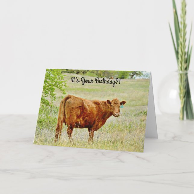 Cow Looking Surprised Pun Birthday Card (Front)