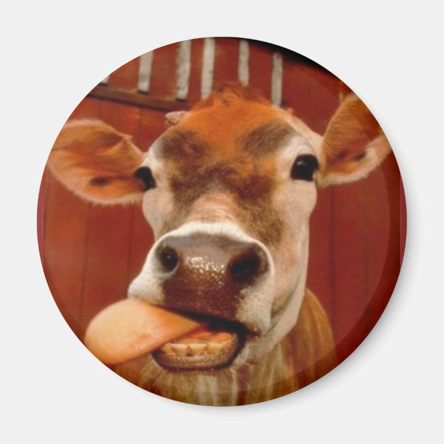cow magnet (Front)