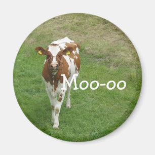 Cow Magnets