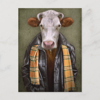 Cow Man Postcard