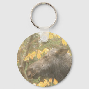 Cow moose in the Maine rain Key Ring
