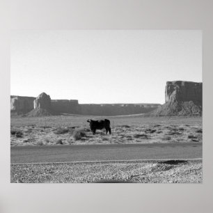 Cow Next to the Road in Monument Valley 16x20 Poster