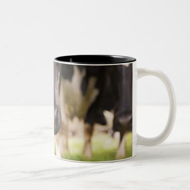 Cow nose Two-Tone coffee mug (Right)