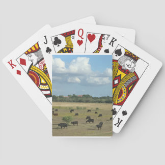 Cow pasture playing cards