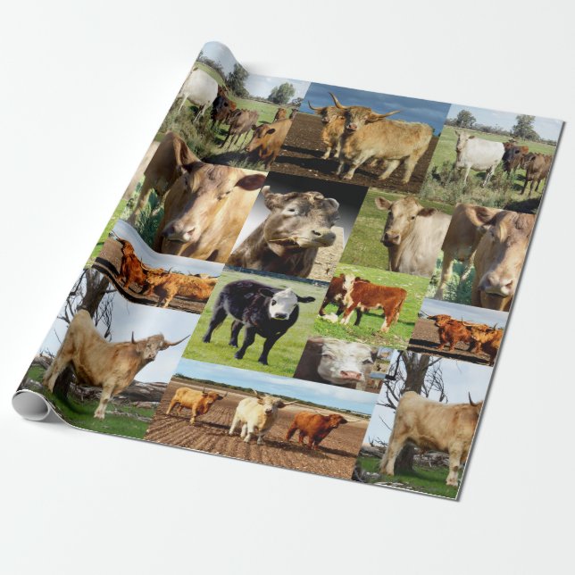 Cow Photo Collage, Wrapping Paper (Unrolled)