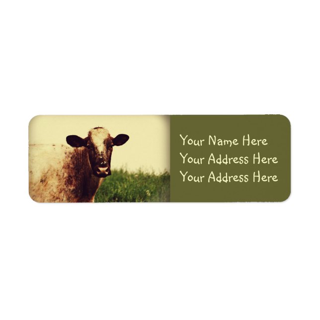 Cow Photo Return Address Label (Front)