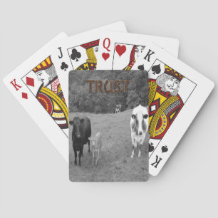 Cow Playing Card Deck