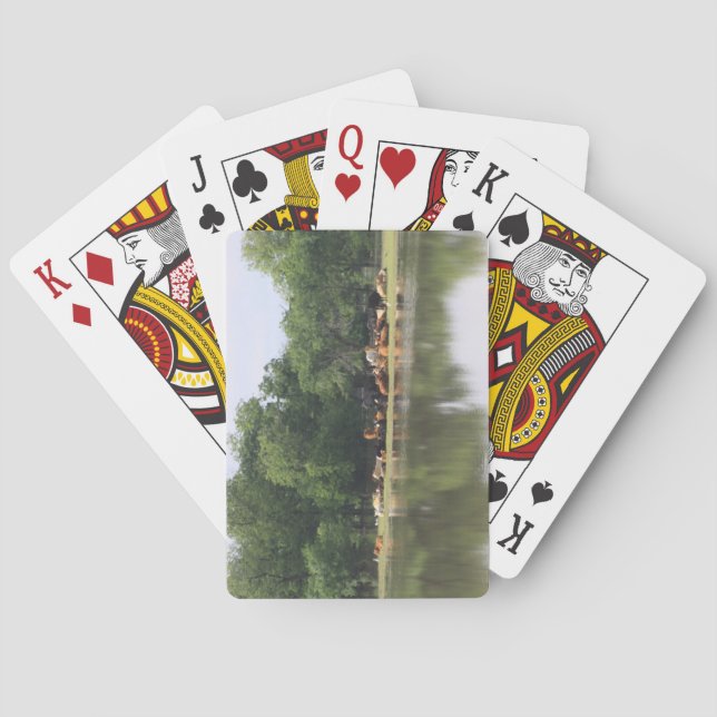 Cow Playing Cards (Back)