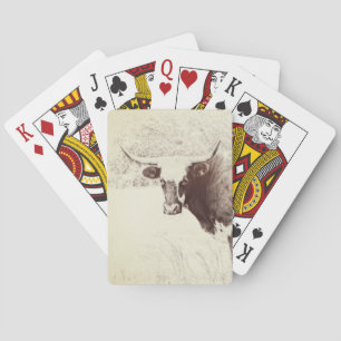 cow playing cards original photo art cows