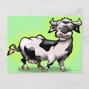 Cow Postcard