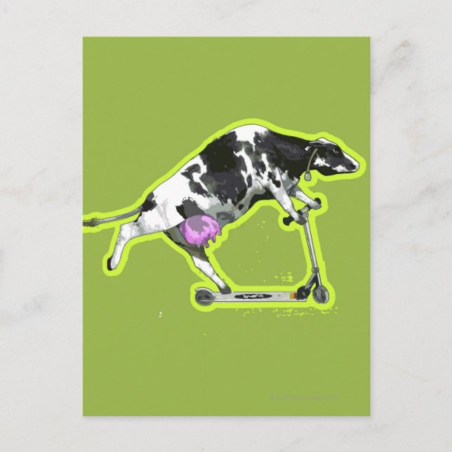 Cow Riding a Scooter Postcard (Front)