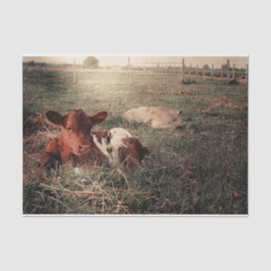 Cow Rustic Country Farmhouse Decoupage Tissue Paper