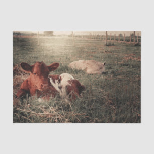 Cow Rustic Country Farmhouse Decoupage Tissue Paper