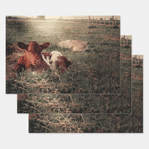 Cow Rustic Country Farmhouse Decoupage Wrapping Paper Sheet