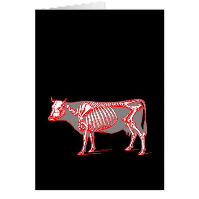 Cow skeleton (Front)