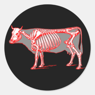Cow skeleton classic round sticker