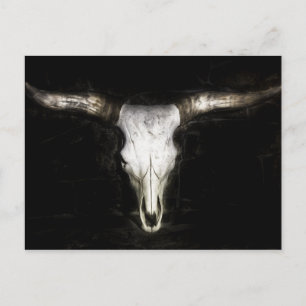 Cow Skull Postcard