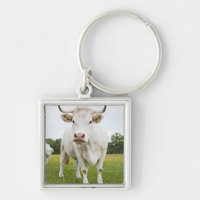 Cow standing in grassy field key ring (Front)