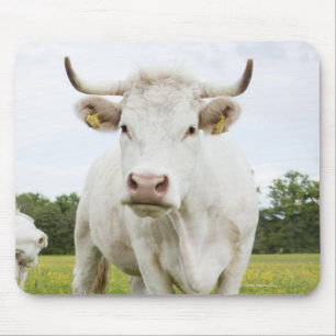 Cow standing in grassy field mouse pad