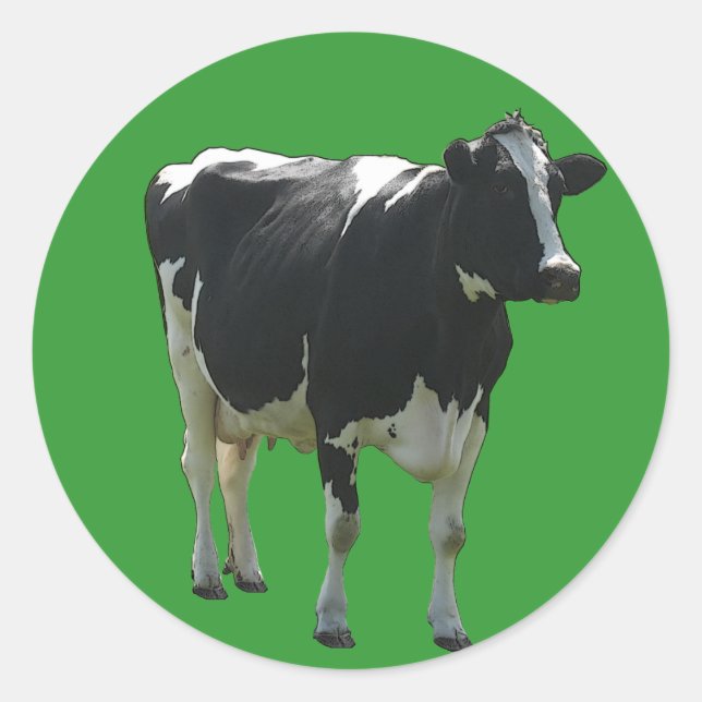Cow Stickers (Front)