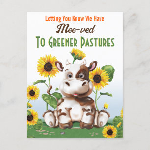 Cow Sunflower Change of Address Postcard