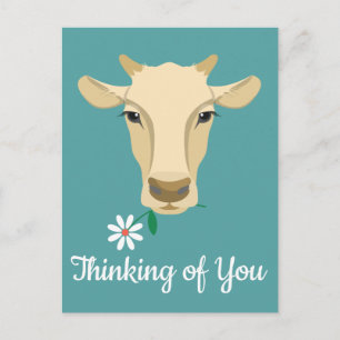Cow Thinking of You Hello Miss You Farm Farmer Postcard