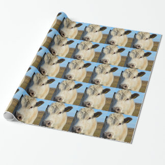 Cow up close wrapping paper