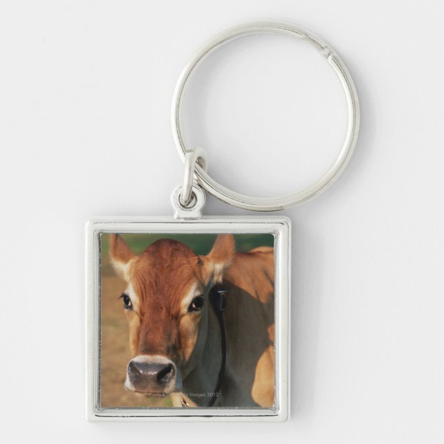 Cow Wearing a Cowbell Key Ring (Front)