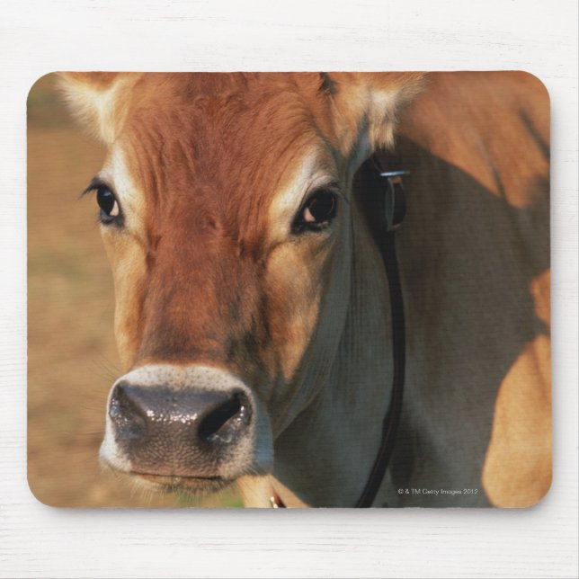 Cow Wearing a Cowbell Mouse Pad (Front)