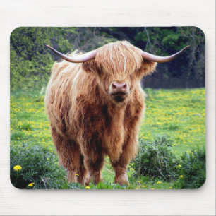 Cow with big horns beautiful nature scenery mouse pad