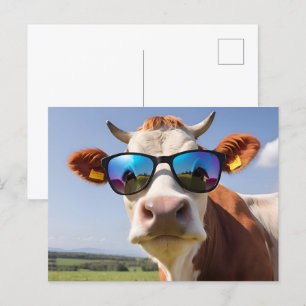 Cow with sunglasses postcard