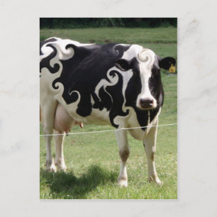 COW WITH SWRILLS POSTCARD