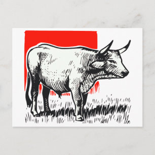 Cow Woodcut Postcard